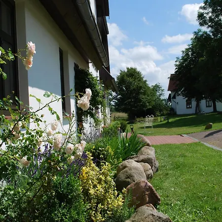 Apartamento In Dargun Mit Schwimmbad, Cleaning Included *